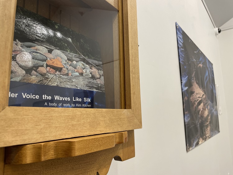 art show poster